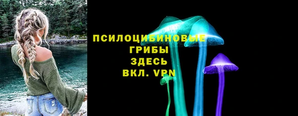 a pvp Белокуриха