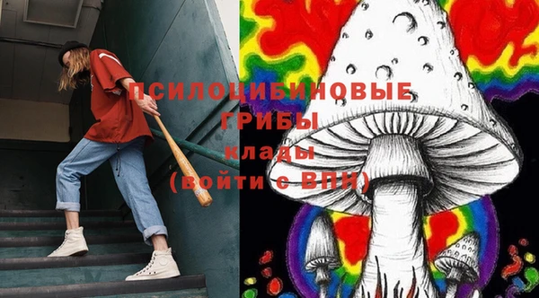 гидропоника Белоозёрский
