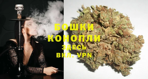 гидропоника Белоозёрский