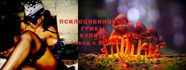 дживик Богородск