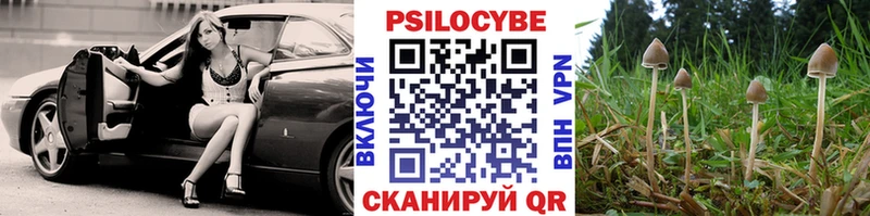 купить закладку  Железноводск  Псилоцибиновые грибы мухоморы 